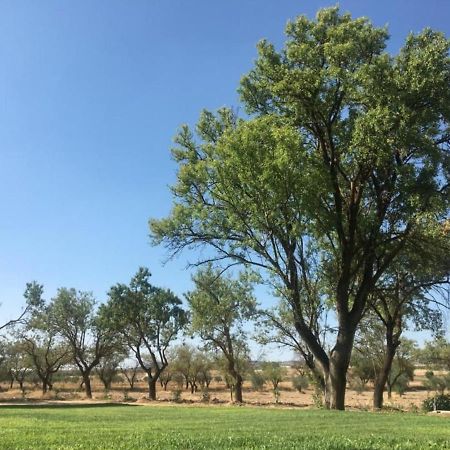 Finca El Relax Colmenar de Oreja Eksteriør billede