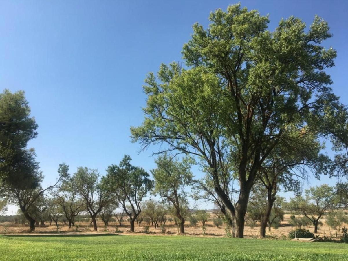Finca El Relax Colmenar de Oreja Eksteriør billede